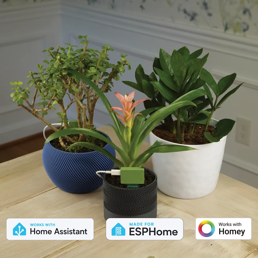 Apollo Automation PLT-1 - capteur de plante ESPHome